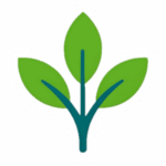 Stilistische Darstellung einer Pflanze